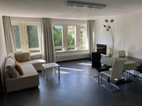 CENTRO Appartamento Ascona